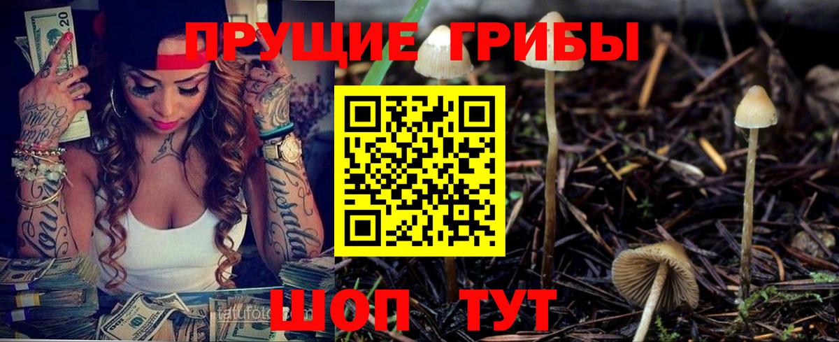 Псилоцибиновые грибы Cubensis  Галлюциногенные грибы Cubensis  Новодвинск  Вход с VPN 